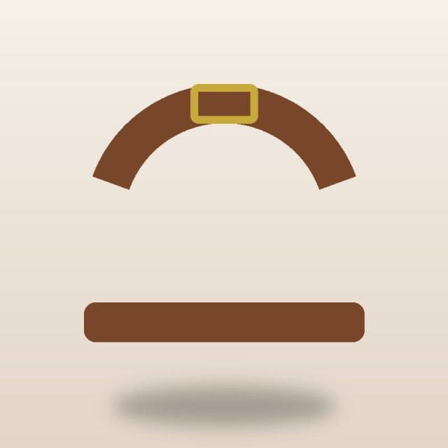 Leather Belt