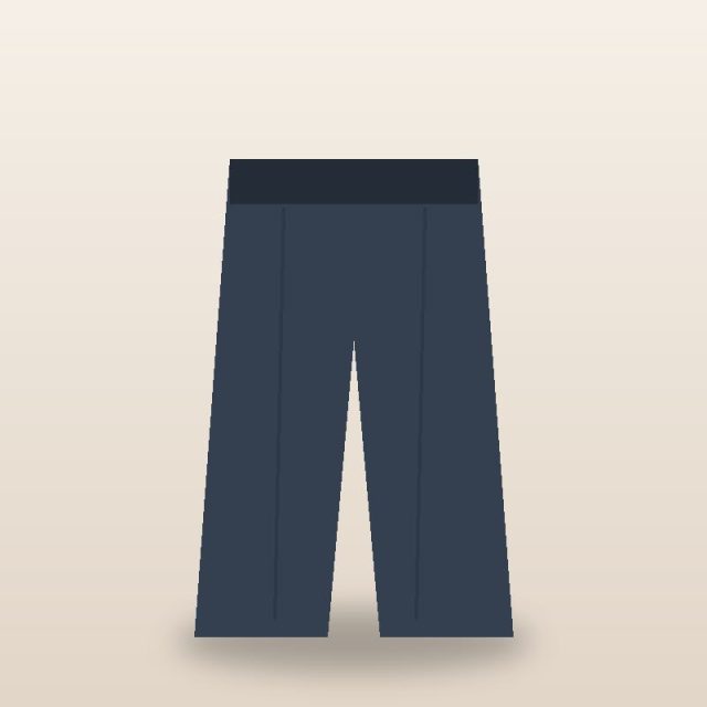 Pleated Trousers